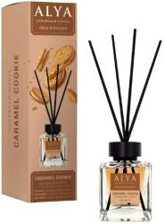 ALYA REED DIFFUSER GOURMAND CARMEL COOKIE 100ML MULTI - PATYCZKI ZAPACHOWE