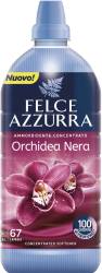 FELCE AZZURRA AMMORBIDENTE ORCHIDEA NERA 67sc / 1,34L IT - PŁYN DO PŁUKANIA