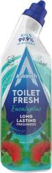 ASTONISH TOILET FRESH 750ML EUCALYPTUS GB - ŻEL DO WC